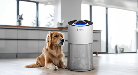 Fresh Air for Furry Friends: The Ultimate Guide to Air Purifiers for Pet Owners