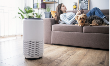 Why You Need an Air Purifier: How Air Purifiers Enhance Indoor Air Quality