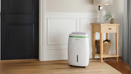 Fresh Air, Dry Spaces: Discover the Meaco 20L Low Energy Dehumidifier and Air Purifier