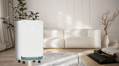 Dehumidifier for Home