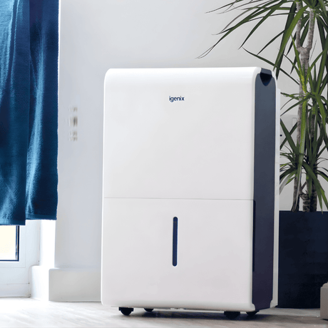 Do I Need a Dehumidifier - Signs to Look For