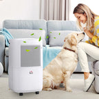 Homcom 2.2L Tank 10L/Day Dehumidifier