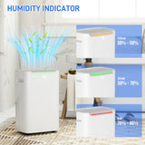 HOMCOM 20L/Day Dehumidifier with Continuous Drainage