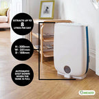 Meaco DD8L Junior 7.5L/Day Desiccant Dehumidifier