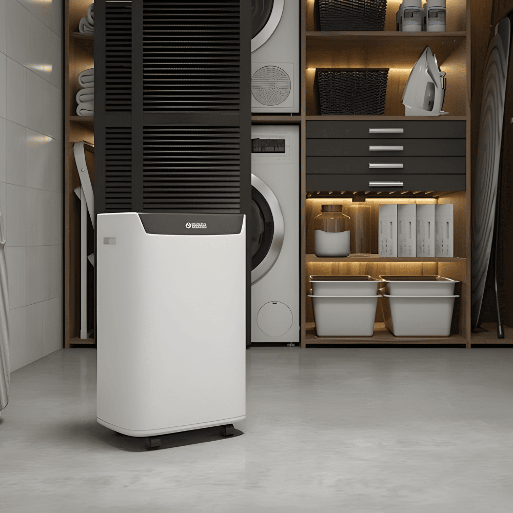 Olimpia Splendid Aquaria S1 14 P Portable Dehumidifier