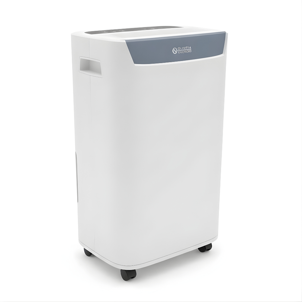 Olimpia Splendid Aquaria S1 10 P Home Dehumidifier