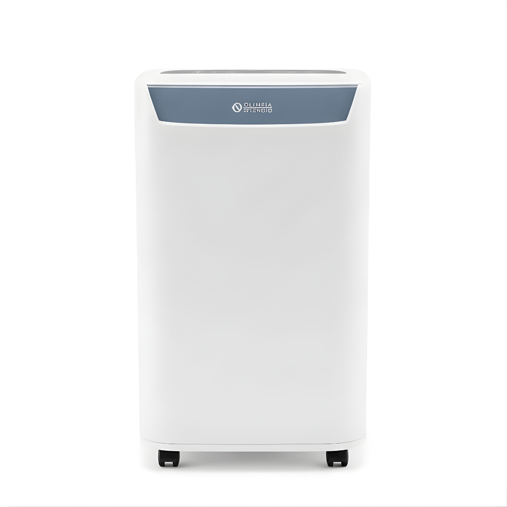 Olimpia Splendid Aquaria S1 10 P Home Dehumidifier