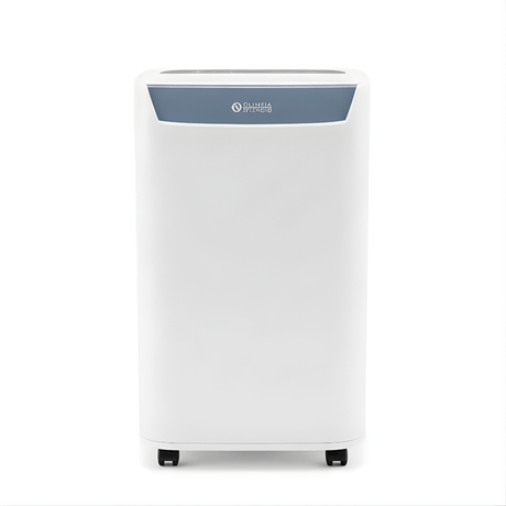 Olimpia Splendid Aquaria S1 10 P Portable Dehumidifier