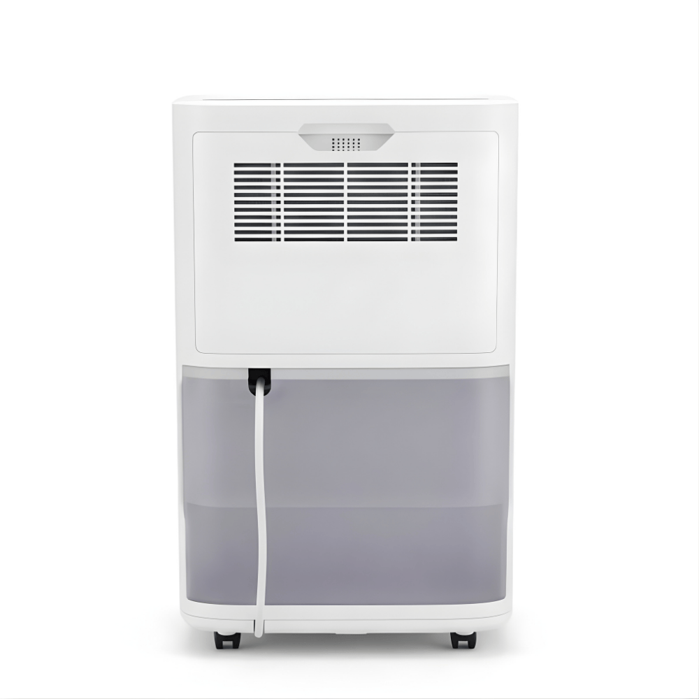 Olimpia Splendid Aquaria S1 10 P Home Dehumidifier