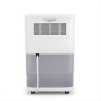 Olimpia Splendid Aquaria S1 10 P Home Dehumidifier